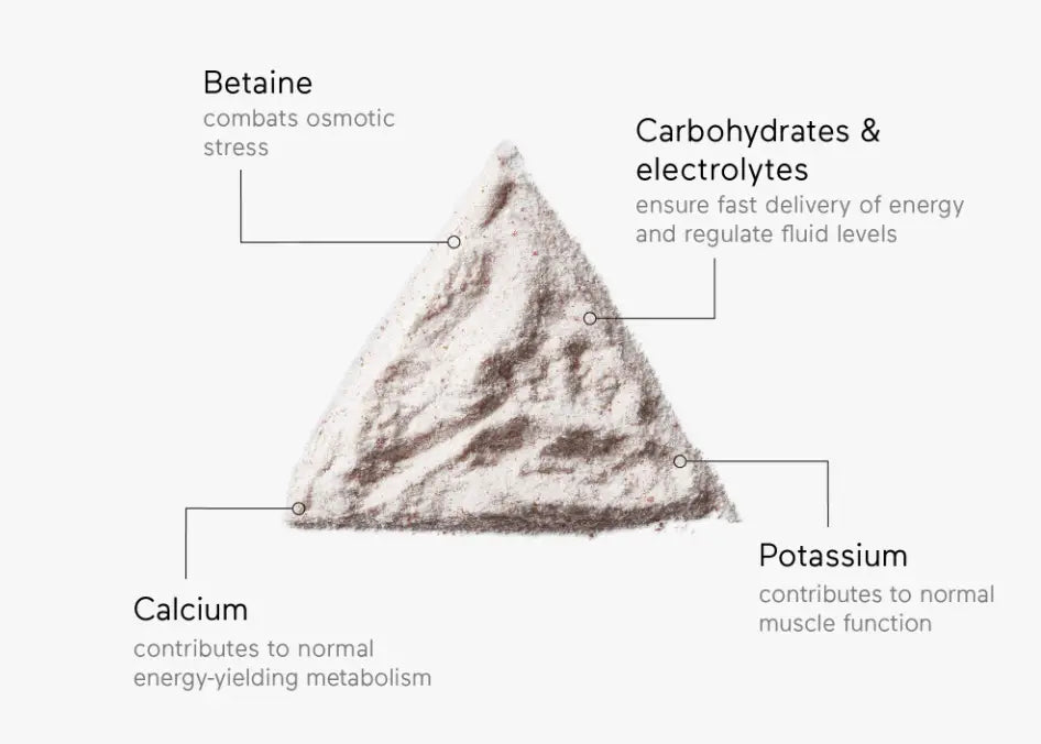 Ingredientes de resistencia de RINGANA SPORT