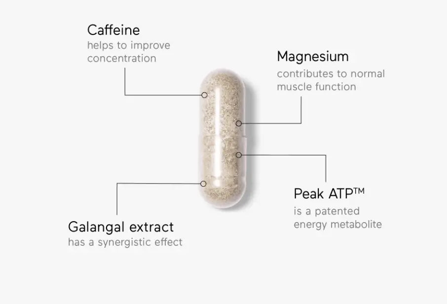 Ingredientes proteicos de RINGANA SPORT
