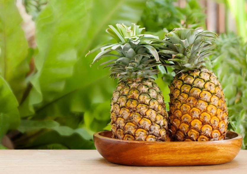 Ananas – die tropische Wunderfrucht: Ihre verborgenen