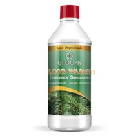 Chogan GREEN APPLE SENSATION - Bodenreiniger ohne Ausspülen für strahlende Sauberkeit!-miss-chogan-parfum